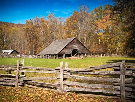 homestead planning advice  homestead survival