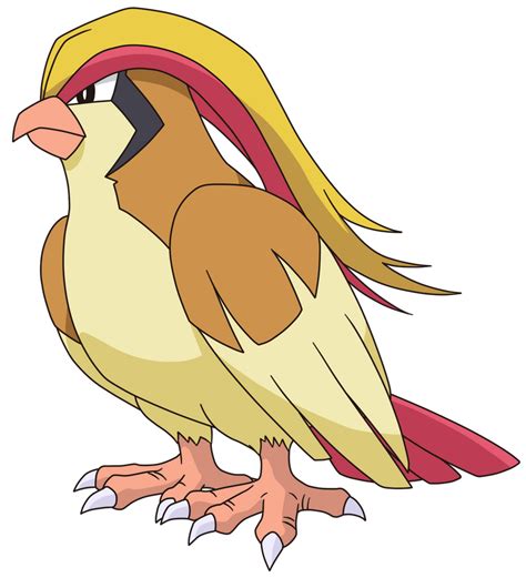 pidgeot pokedex   pokemon  artofit