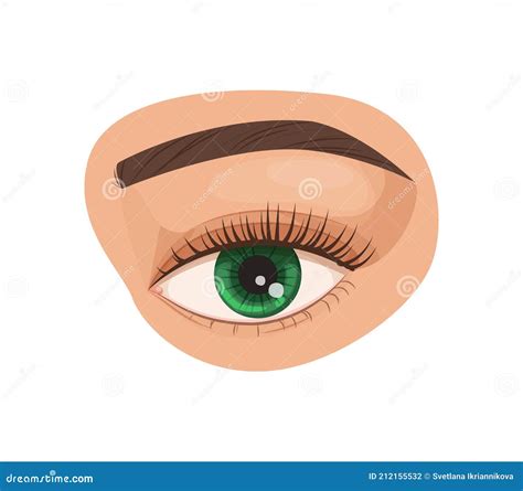 Biologie Humaine Une Approche Visuelle Manuel Ete 7