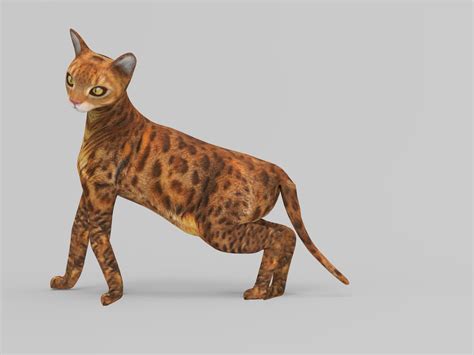 Cat rigged 3D model - TurboSquid 1161442