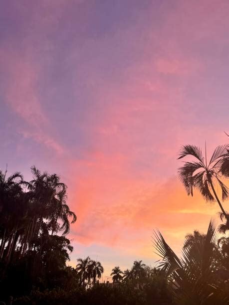 darwin sunset  stock  pictures royalty  images
