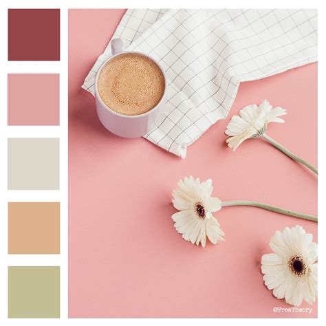 Gerber Daisies and a Latte Color Palette — Free Theory