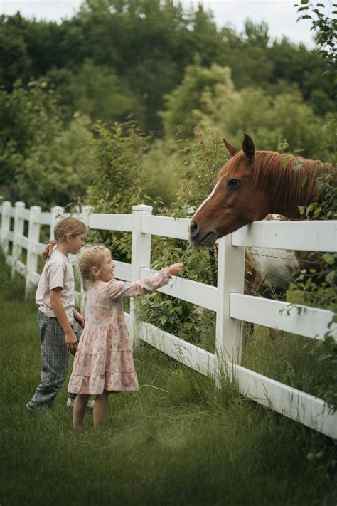 Women With Animals Photos, Download The BEST Free Women With Animals
