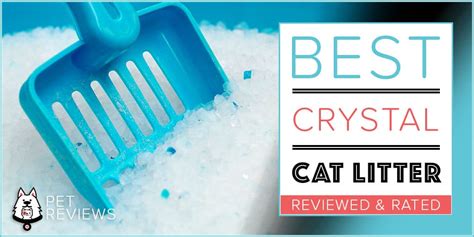 7 Best Silica Crystal Cat Litters With Our 2023 Budget-Friendly Pick