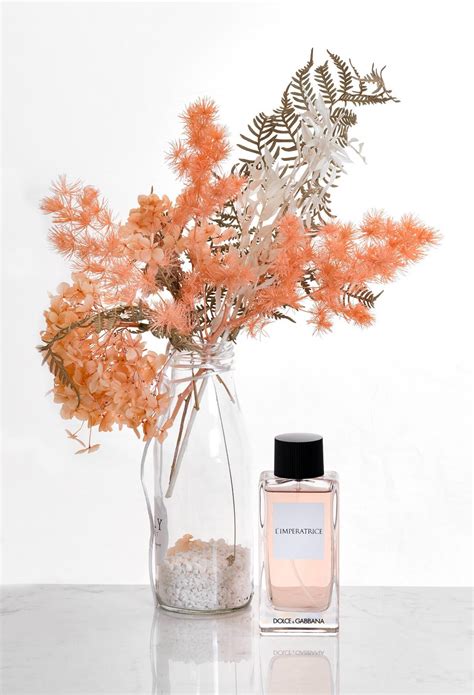 D&G Anthology L'Imperatrice 3 Dolce&Gabbana perfume - a fragrance for ...