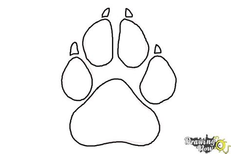 Dog Paw Drawing at PaintingValley.com | Explore collection of Dog Paw ...