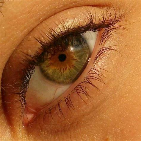 Hazel eye – Artofit