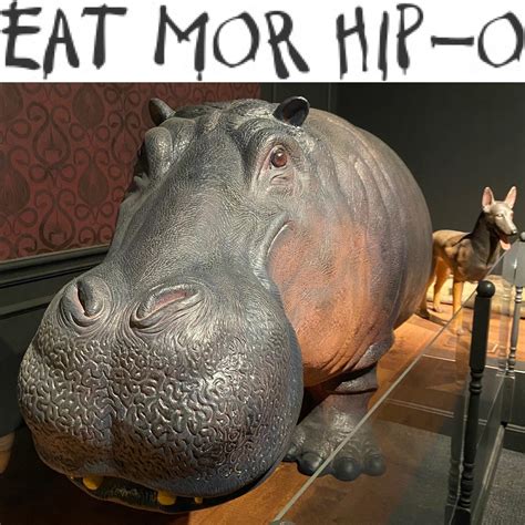No sleep til hippo! : r/TheDollop