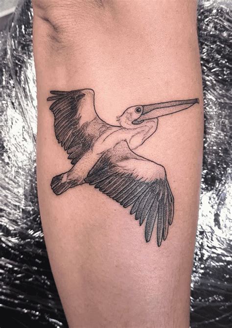 Pelican Tattoo Design Images (Pelican Ink Design Ideas) | Pelican ...