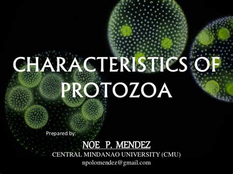 Characteristics of protozoa