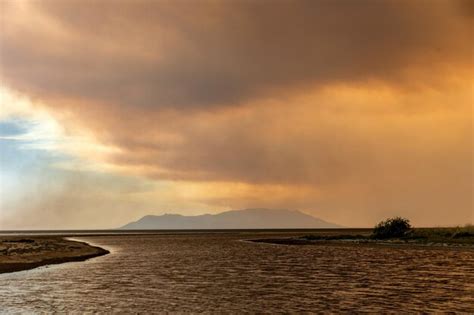 Premium Photo | Devastating wildfire in alexandroupolis evros greece ...