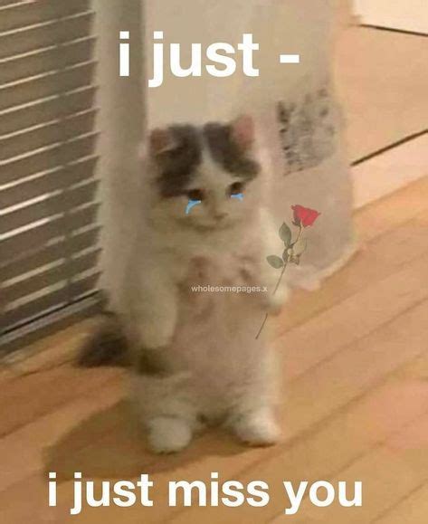 Missing You Memes