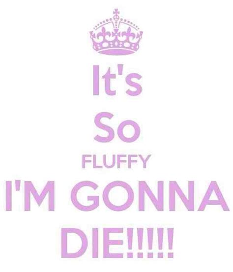 Agnes And Unicorn Quotes. QuotesGram