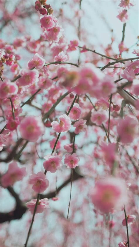 Japanese+Lesbian+Lactation Videos, Download The BEST Free 4k Stock