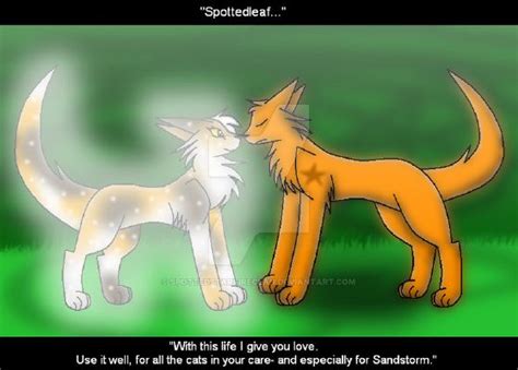 Do you ship Firestar X Spottedleaf? - Survey