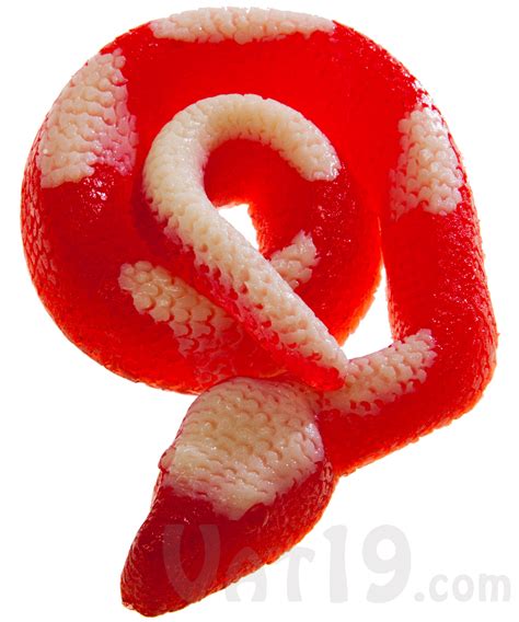 Giant Gummy Snake: Two-toned candy snake is over 2 feet long.