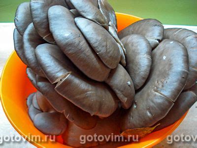 Жареные вешенки со сметаной. Рецепт с фото