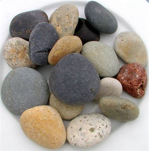 beach pebbles price mexican pool pebble truckloads  pallets