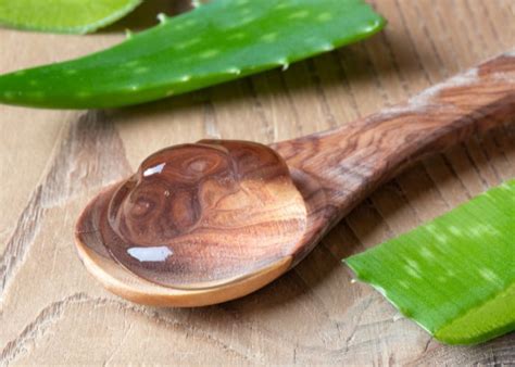 Aloe vera leaves - How to use them PROPERLY?