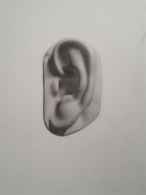 Drawings | Academic studies on Behance