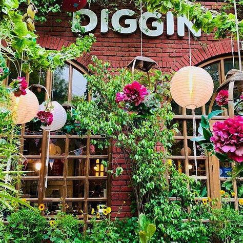 Enjoy Delicious Food At Diggin, Chanakyapuri | LBB, Delhi