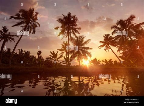 Sunset on Kerala backwaters Stock Photo - Alamy