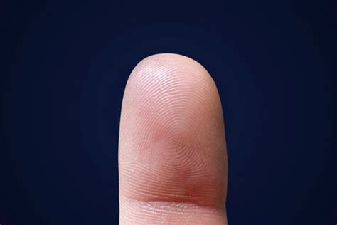 Finger Images – Browse 7,357,904 Stock Photos, Vectors, and Video ...
