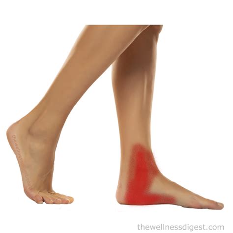 abductor hallucis muscle foot  ankle pain  wellness digest