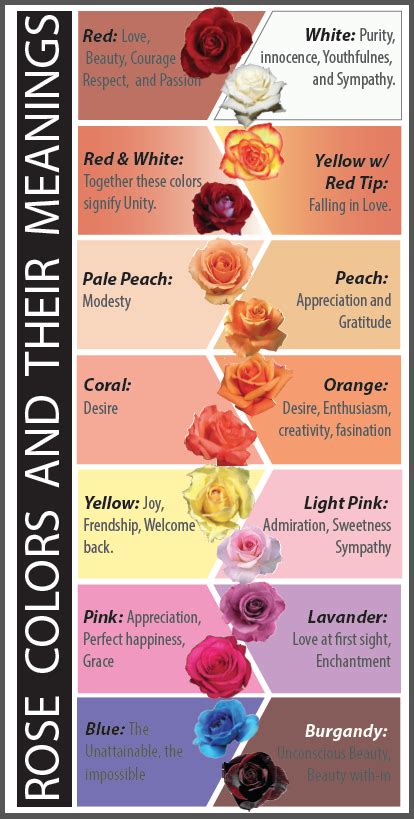 rose color meaning chart Pin by angela renee on randomness