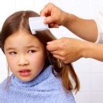 Causes Of Head Lice In Children | Prevention Of Scalp Lice In Kids