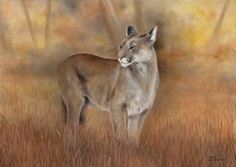 Mountain Lion Painting at PaintingValley.com | Explore collection of ...