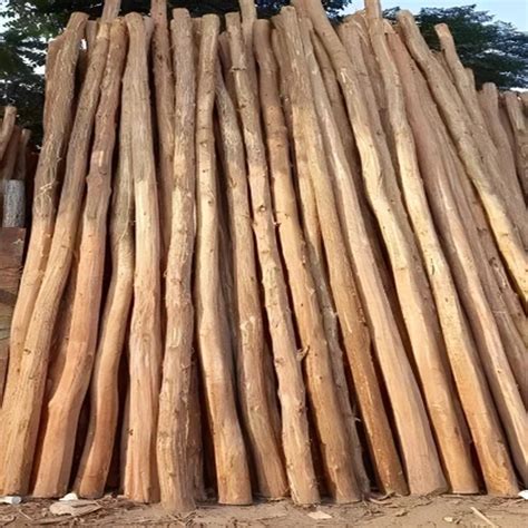 wooden nilgiri poles   price  navi mumbai maharashtra global