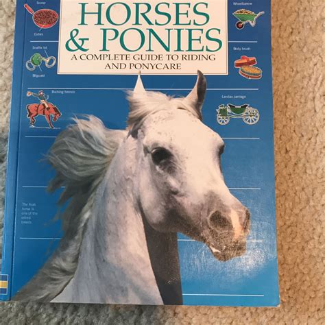 Horses And Ponies Illustrated Book for Sale in Las Vegas, NV - OfferUp