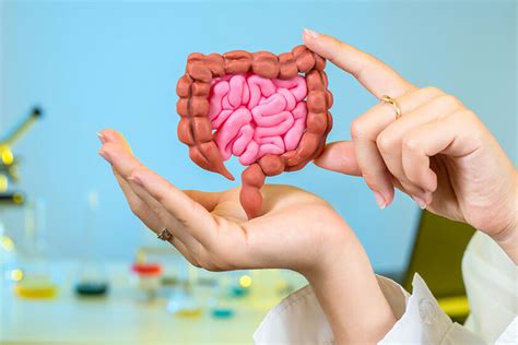 Gastro Updates | Clinical Education