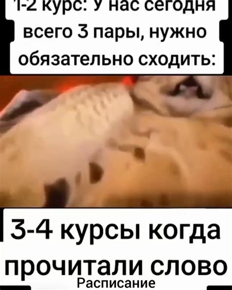 Мем-учеба - YouTube