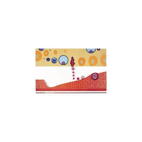 Plansa ciclul menstrual