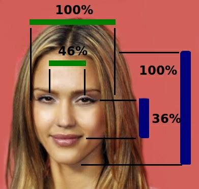 physical attractiveness wikipedia