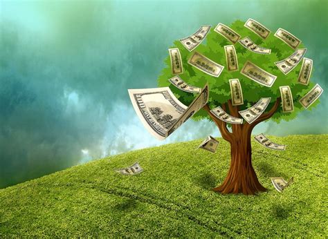 money grow  trees aaron katsman financial blog