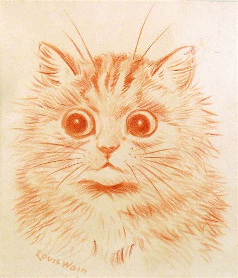 #schizophrenic cat on Tumblr