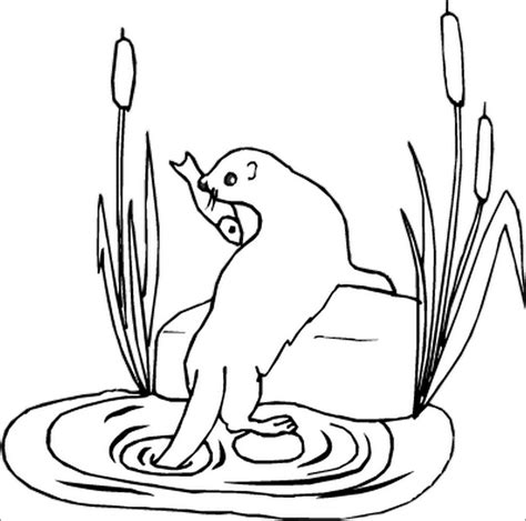Otter Coloring Pages - ColoringBay