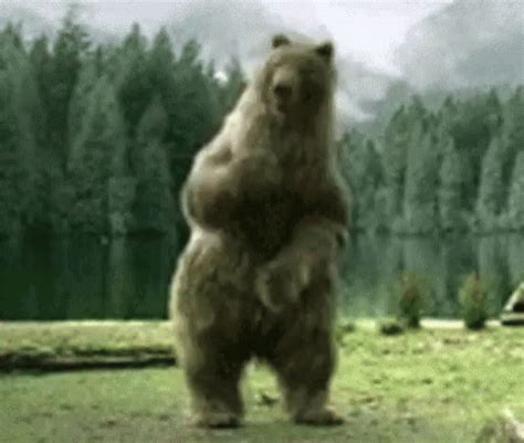 Bear Dance GIF - Bear Dance Turnt - Discover & Share GIFs