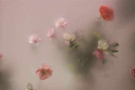 542.333+ Fotos y Imágenes de Fondo de photoshop Gratis · Banco de Fotos ...