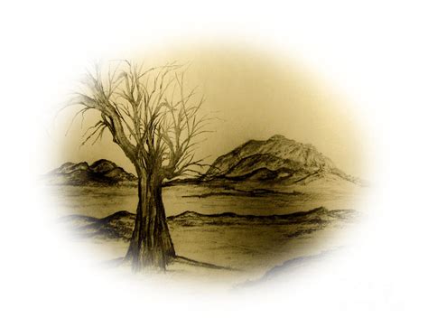 Desolate Drawing by John Krakora - Fine Art America