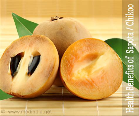 chikoo fruit Fresh Sapota Supplier from Mahesana, Gujarat