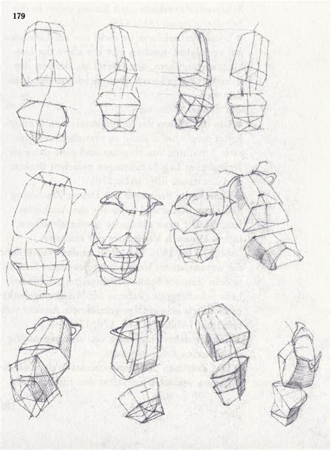 Anatomy - Bammes - Sehen und Verstehen Anatomy Drawing, Concept, Male ...