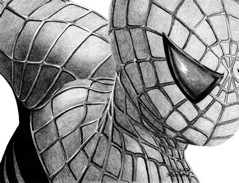 spiderman pencil drawing  paintingvalleycom explore collection