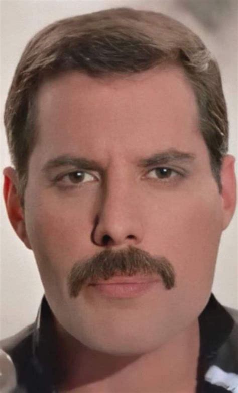 pin  etiennette bosch  freddie mercury queen queen freddie