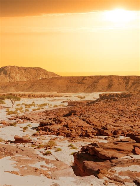 Weather in Egypt in July 2025: Travel Tips for First-Timers