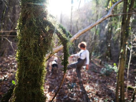 Jardines de lluvia: cómo son y por qué reducen los riesgos de