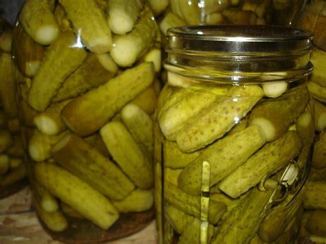 dill pickle recipes easy